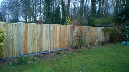 A long run of new fencing beside a woodland garden