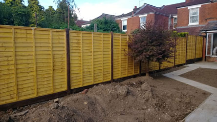 A run of new feather edge fence panels on timber posts along a garden